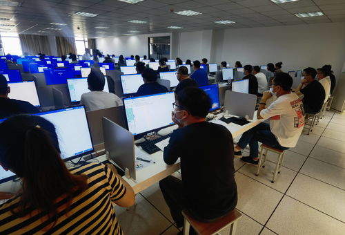 联手人社部 教育部,阿里国际站帮3万外贸人才精准就业